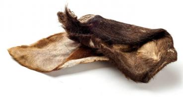 Büffel-Ohr mit Fell